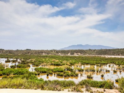 Apartment Belvilla by OYO Casa Alegria - Environment photo 27