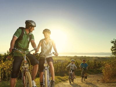 Holiday apartment Appartement Gimpl - Environment photo 33