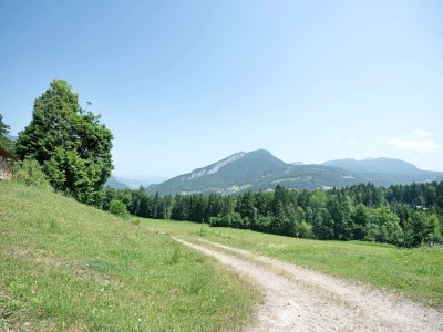 Apartment Gemütliches Ferienhaus in Bad Goisern mit Balkon - Environment photo 22