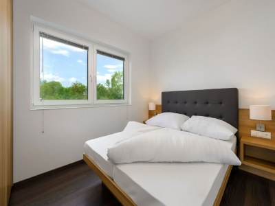 Apartment Nobles Ferienhaus in Lutzmannsburg - Features photo 10