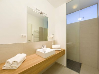 Apartment Nobles Ferienhaus in Lutzmannsburg - Features photo 12