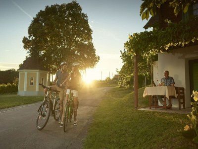 Apartment Nobles Ferienhaus in Lutzmannsburg - Environment photo 20