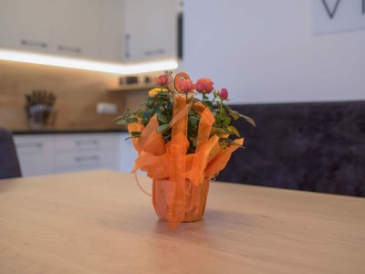 Apartment Ski- & Natur-Ferienwohnungen Top 2 - Outdoor photo 40