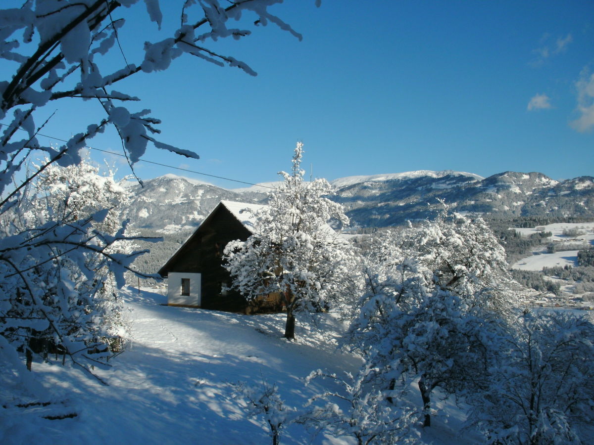 Holiday apartment Pirker - Outdoor photo 5
