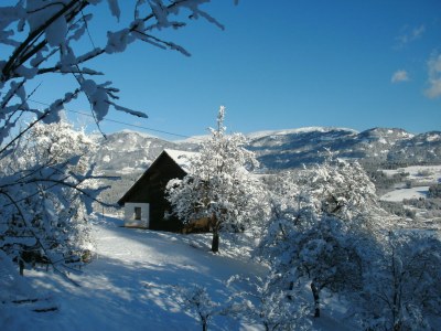 Holiday apartment Pirker - Outdoor photo 5