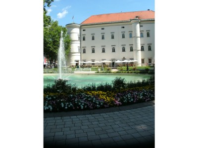 Holiday apartment Pirker - Environment photo 17