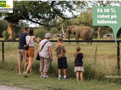 Holiday park Ferienhaus für 4 Personen in Væggerløse - Outdoor photo 42