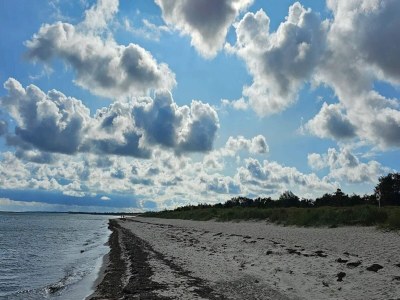 Holiday park Ferienhaus für 4 Personen in Væggerløse - Outdoor photo 43