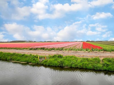 Holiday house Gemütliches Ferienhaus in Sint Maartensvlotbrug mit gemeinsamer Terrasse - Environment photo 29