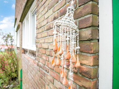 Holiday house Gemütliches Ferienhaus in Sint Maartensvlotbrug mit gemeinsamer Terrasse - Outdoor photo 39