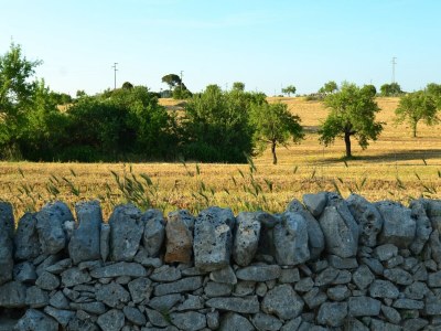 Villa Belvilla by OYO La Marcanna - Outdoor photo 6