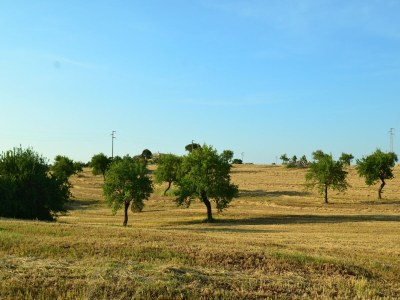 Villa Belvilla by OYO La Marcanna - Environment photo 25