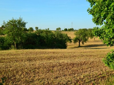 Villa Belvilla by OYO La Marcanna - Environment photo 26