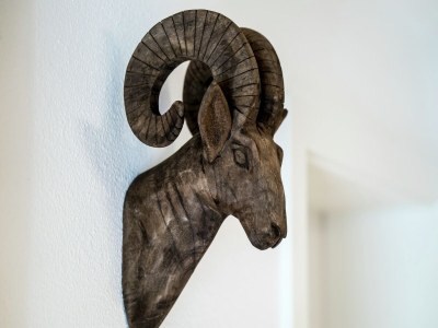 Holiday house Ferienwohnung mit Terrasse - Outdoor photo 29