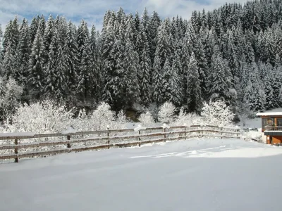 Apartment High Class Apartment bei Saalbach-Hinterglemm mit Sauna - Outdoor photo 6