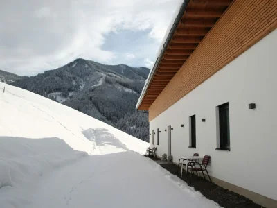 Apartment High Class Apartment bei Saalbach-Hinterglemm mit Sauna - Outdoor photo 8