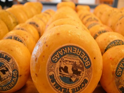 Holiday park Ferienhaus in einem Ferienpark - Environment photo 32