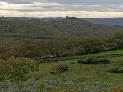 Holiday house Holiday Home in Villamiel with Mountain Views - Environment photo 33