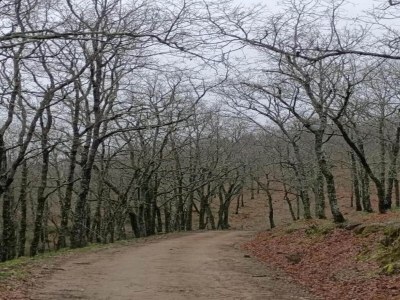 Holiday house Holiday Home in Villamiel with Mountain Views - Environment photo 35