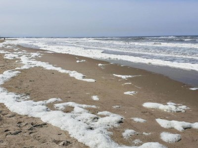 Holiday park Beach House in Wijk aan Zee with Sea Views - Environment photo 28