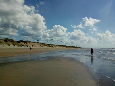 Holiday park Beach House in Wijk aan Zee with Sea Views - Environment photo 33