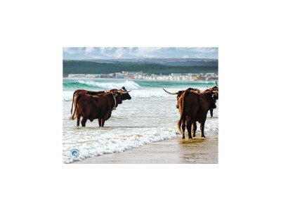 Apartment Belvilla by OYO Apartamento BahÃ­a de la Plata - Outdoor photo 9