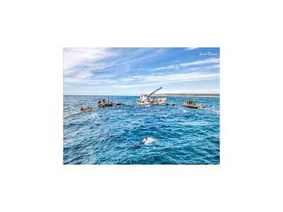 Apartment Belvilla by OYO Apartamento BahÃ­a de la Plata - Environment photo 21