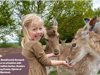 Holiday park 7 person holiday home in Aabenraa - Outdoor photo 12