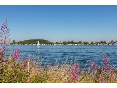 Holiday house Welcoming Family Home - Environment photo 31