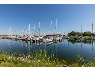 Holiday house Welcoming Family Home - Environment photo 32