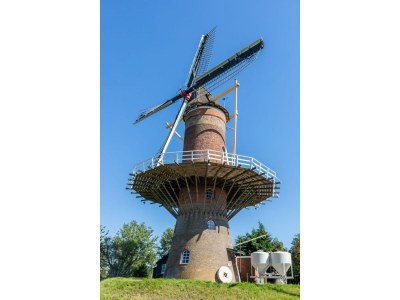 Holiday house Welcoming Family Home - Environment photo 34