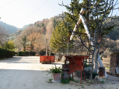 Holiday house Sun-kissed holiday home with swimming pool - Environment photo 14