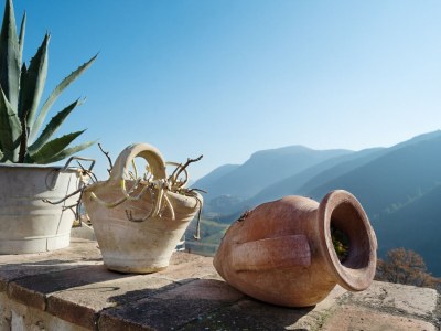 Holiday house Sun-kissed holiday home with swimming pool - Outdoor photo 19