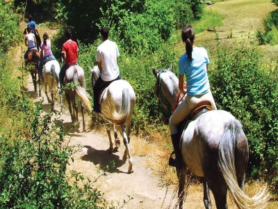 Holiday house Luxuriöses Ferienhaus in Montone mit 2 Swimmingpools - Outdoor photo 26