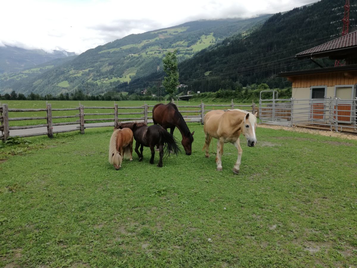 Holiday apartment Alpenresidenz-Sonnwend - Outdoor photo 5