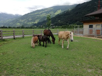 Holiday apartment Alpenresidenz-Sonnwend - Outdoor photo 5