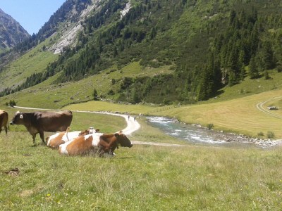 Holiday apartment Alpenresidenz-Sonnwend - Outdoor photo 6