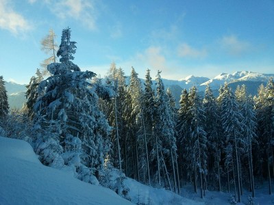 Holiday apartment Alpenresidenz-Sonnwend - Environment photo 26