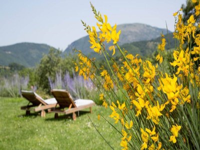 Farmhouse Luxuriöses Bauernhaus in Umbertide mit Pool - Outdoor photo 23