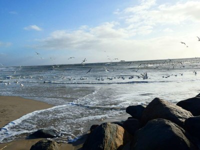 Holiday house Gemutliches Strandrefugium -- By Traum Ferienwohnungen - Outdoor photo 8