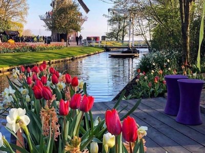 Holiday house Modernes Ferienhaus zwischen Schoorl und Bergen - Outdoor photo 11