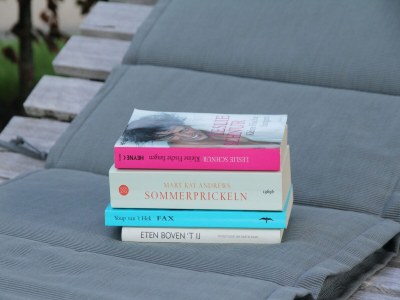 Holiday house Modernes Ferienhaus zwischen Schoorl und Bergen - Outdoor photo 38