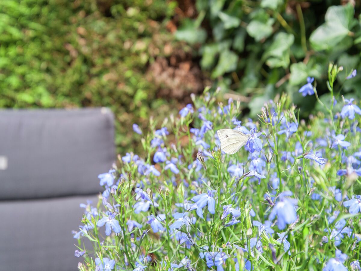 Apartment Modern flat in the centre of Bergen - Outdoor photo 3