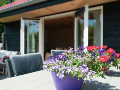 Holiday house Holiday Home in Egmond aan den Hoef with Sauna - Outdoor photo 21