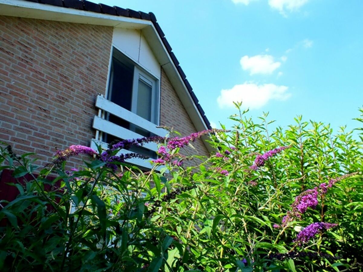 Bungalow Nice bungalow in Beek with hot tub - Outdoor photo 3