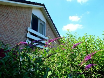 Bungalow Nice bungalow in Beek with hot tub - Outdoor photo 3