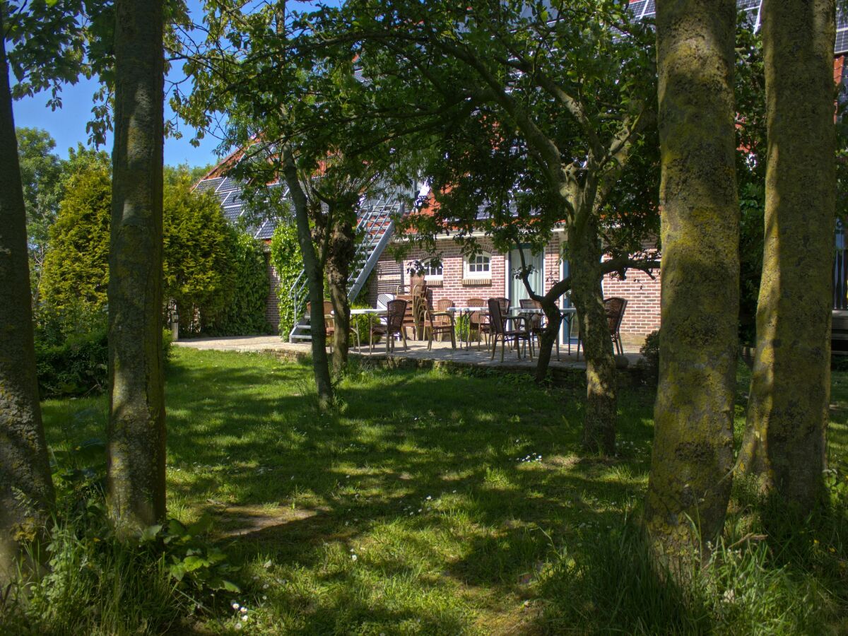 Farmhouse Authentisches Bauernhaus in Pingjum mit Whirlpool - Outdoor photo 5