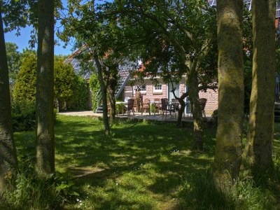 Farmhouse Authentisches Bauernhaus in Pingjum mit Whirlpool - Outdoor photo 5