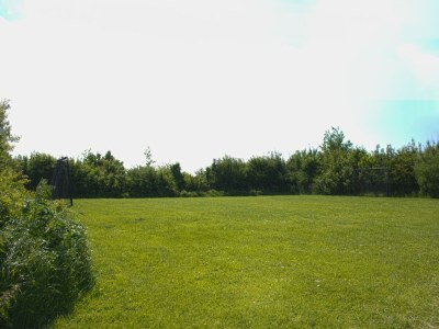 Farmhouse Luxury Mansion near Sea in Pingjum - Outdoor photo 7