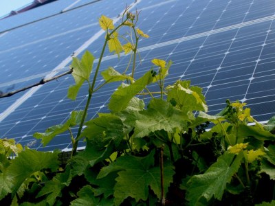 Farmhouse Luxury Mansion near Sea in Pingjum - Outdoor photo 28